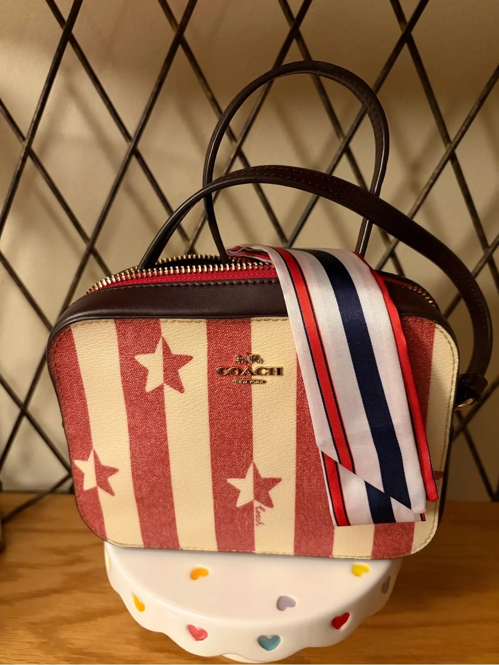 Coach mini camera